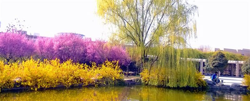 西北农林科技大学校园