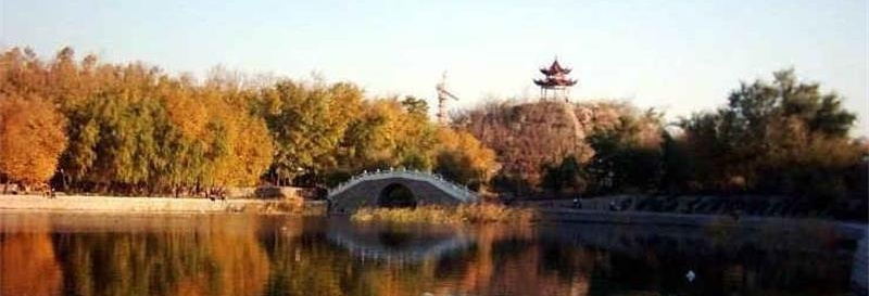 新疆大学校景